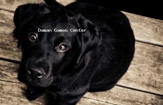 Tokyo Ghoul: Dark War Combat Gameplay Tokyo Ghoul: Dark War gameplay screenshot showing combat